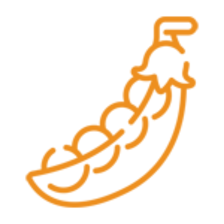 Bakliyat kategorisi için resim